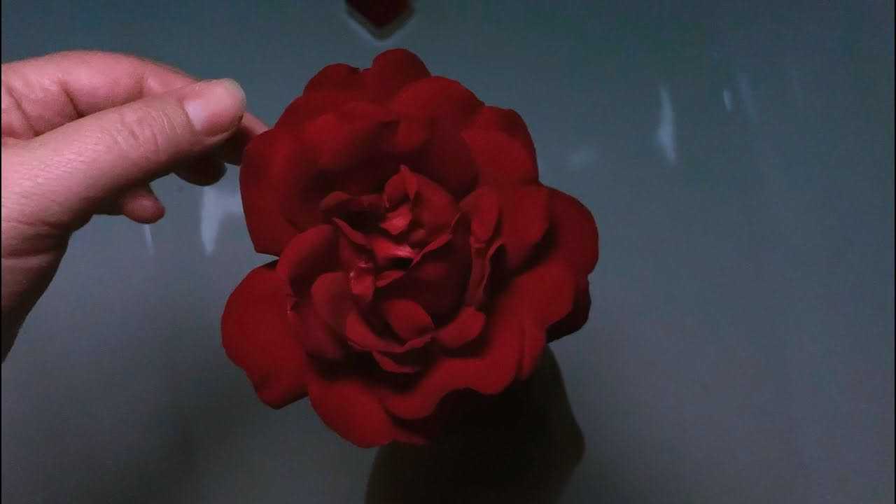 Watch The Paper Kites